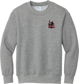 NJ Valkyries Youth Core Fleece Crewneck Sweatshirt